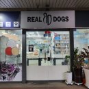 리얼독스쇼룸