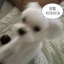 한양대(한양대버스정류장) | #36(현장실무교육, OGQ 마켓, 향미, 취업성공, 아는 동생[한양대 투어 및 CGV(엘리오)])[25.06.30_월요일]