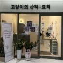 고양이의 산책:묘책 이미지