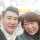 인셀덤구미