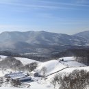 별빛목장 이미지