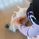 독탑라운지 이미지