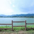 블루베리 가족 독채펜션 이미지