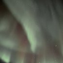 오로라약국 이미지