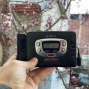 신촌뮤직 이미지