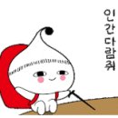 연천학곡리고인돌 이미지