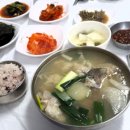 믈 Daum카페