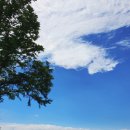 월호평길 이미지