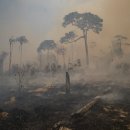 연소목장 이미지