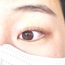 의왕 이네일 후기 / 오전동 속눈썹펌 잘하는곳, 의왕 네일, 이네일 속눈썹펌 후기