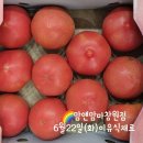 회원동234 | 맘앤맘마창원점