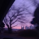 사이언스도룡스포츠센터 이미지