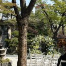 [Wedding] 삼원가든 야외웨딩 본식 후기