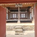 도립리 육괴정 이미지