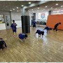 용인대 수 합기도 이미지