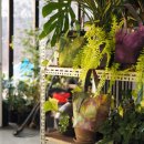 자연을그리는사람들 이미지