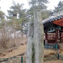 언양김씨정려각 이미지