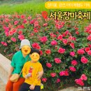 자유시장 주차장 공중화장실 | 2025 서울장미축제 중랑천 기본정보 가수 주차장 가는길 리뷰
