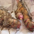 하늘이네 농장 이미지