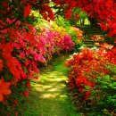 자연하모니 이미지