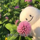 그리고7월 이미지