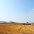 매화농장 이미지