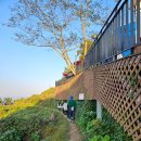 이수도섬펜션 이미지