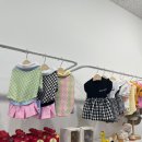 탄앤쿠키 이미지