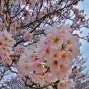 (주)대동주유소 이미지