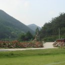 와룡체육공원 이미지