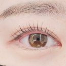 래쉬온(LASH ON)