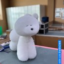 개인정애견샵 이미지