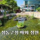 성동구청 야외 정원 숨은 후기! 왕십리역 근처 빌딩 숲 속 초록빛 오아시스