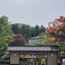 원창조경 | 대룡산장 : 춘천 대형 카페 / 분위기 깡패 춘천 신상 카페 추천 내돈내산