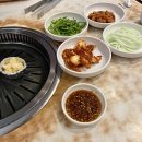 풍성집 이미지
