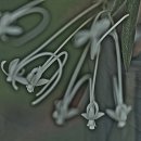 77통신