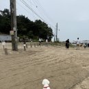 민머루해수욕장 이미지