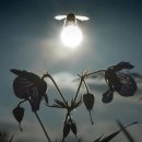 ​​​우리로 하여금 두번 보게 만든 완벽한 타이밍의 사진들 1 이미지