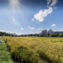 김진영농장 이미지