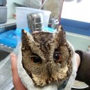 파스텔동물병원 이미지