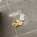 보라매동-24 이미지