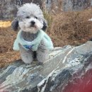 진서동물병원 이미지