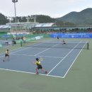 한국유소년테니스연맹