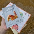 창원단감테마공원 | [창원 아이랑가볼만한곳] 단감테마파크 스탬프투어 후기