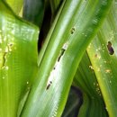 한솔이네농장 이미지