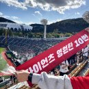 필프라이스 내일점 | 김해 일식 코스 가미, 덕천동 클라이밍, 이대호 은퇴식과 부산국제영화제 미드나잇패션까지 ••• 강철...