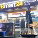 멍스클럽 | 태안 멍스클럽 애견 풀빌라 – 반려견과 함께하는 완벽한 힐링 여행