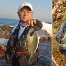 강정동-18 이미지