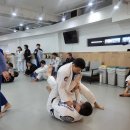 그레이시주짓수수원
