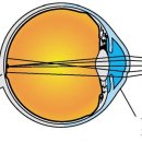 안경아울렛 안경원 이미지